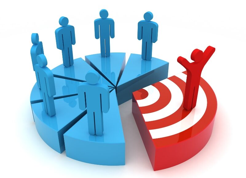 Google ads audiences visualised as segmented pie chart with one target segment highlighted in red