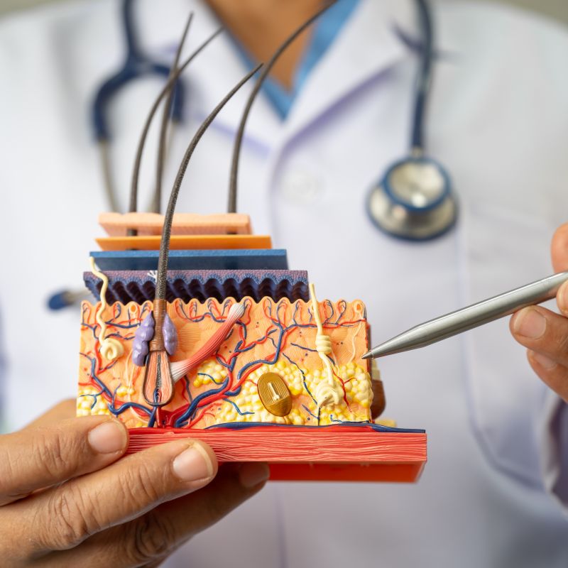 image presents Digital Marketing for Cardiologists