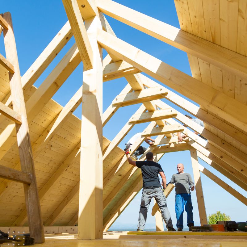 Modern granny flat showcasing the potential of granny flat construction services. Boost your granny flat business with digital marketing from Warren Digital.