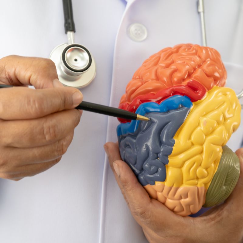 Image presents digital marketing for neurologists