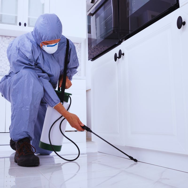 A professional in a blue suit applies pest control treatment in a kitchen, showcasing the effectiveness of digital marketing for pest control services in Sydney.