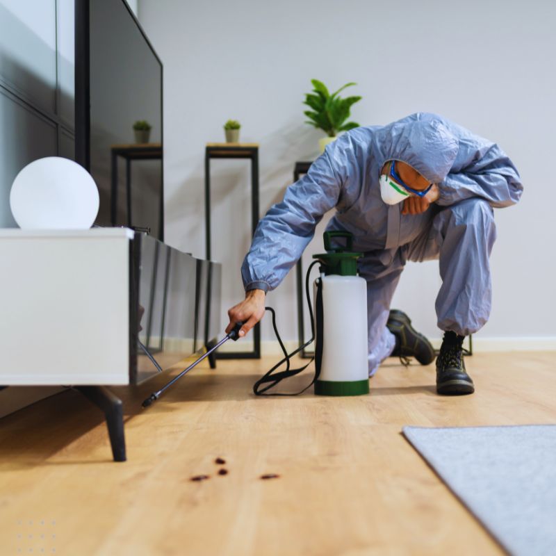 A pest control technician in protective gear sprays an indoor area, showcasing effective pest management services offered by a Sydney-based digital marketing agency specialising in pest control.